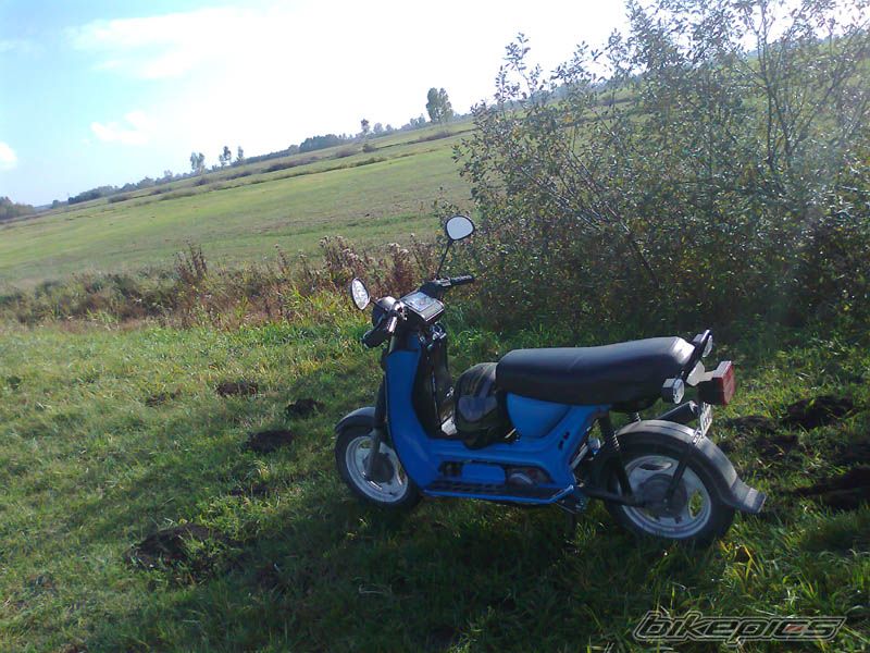 Photo 2468017