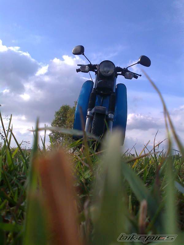 Photo 2468018