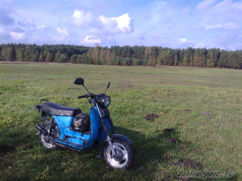 Photo 2468020