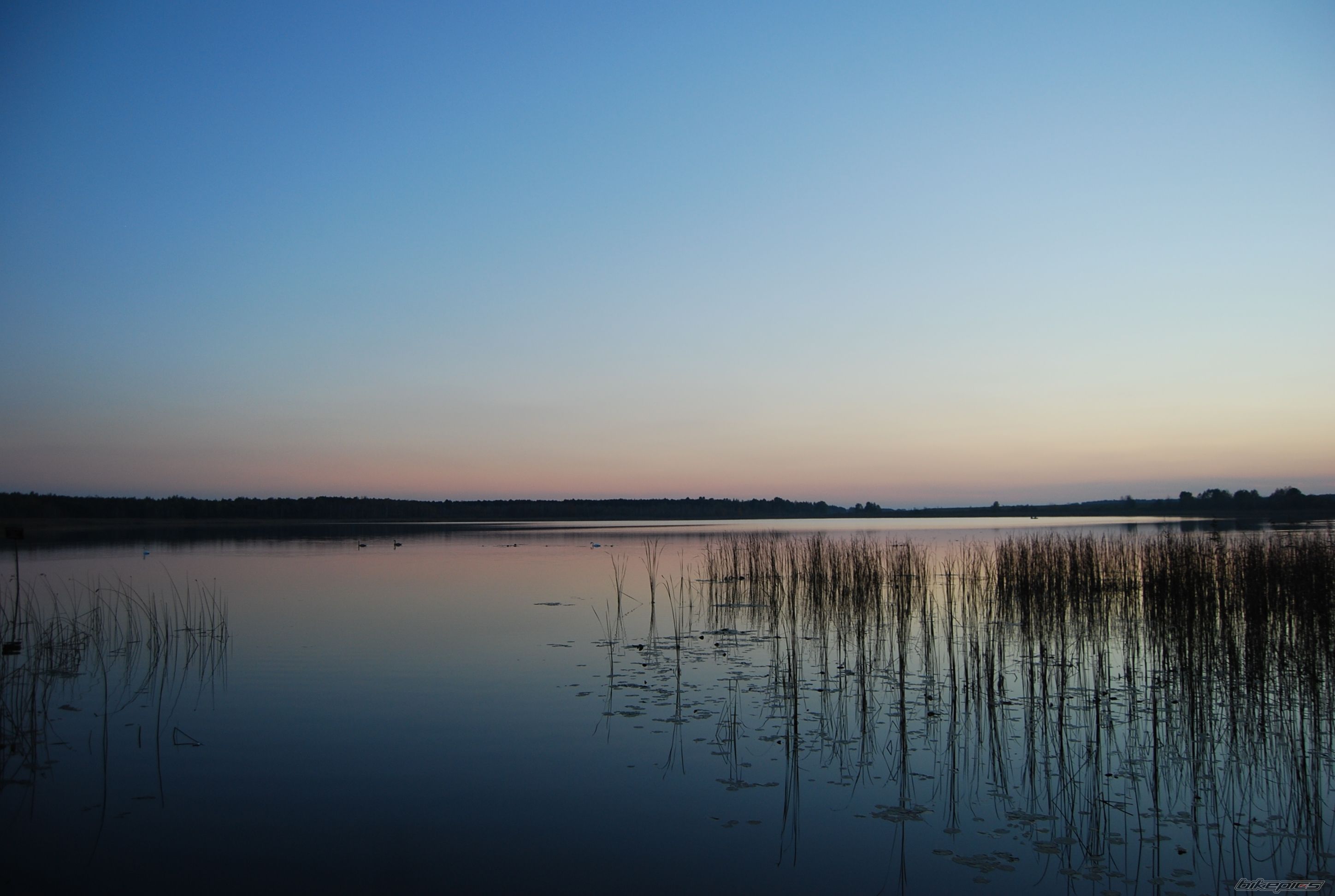 Photo 2468022