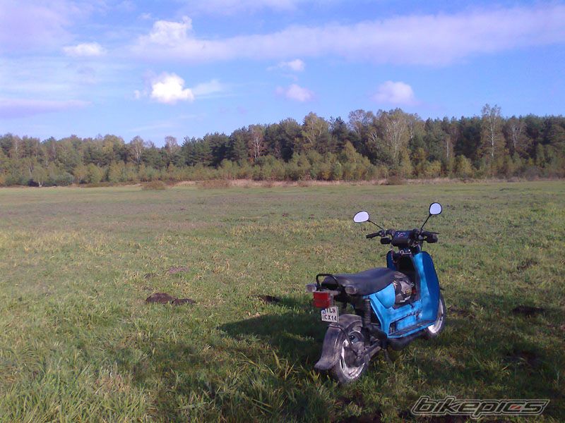 Photo 2468026
