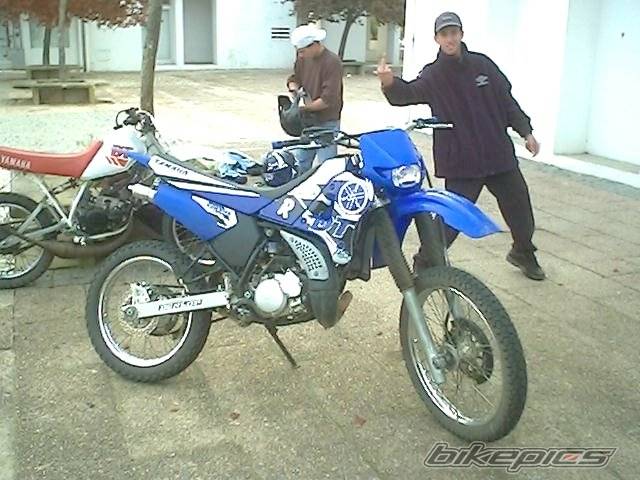 Photo 246803