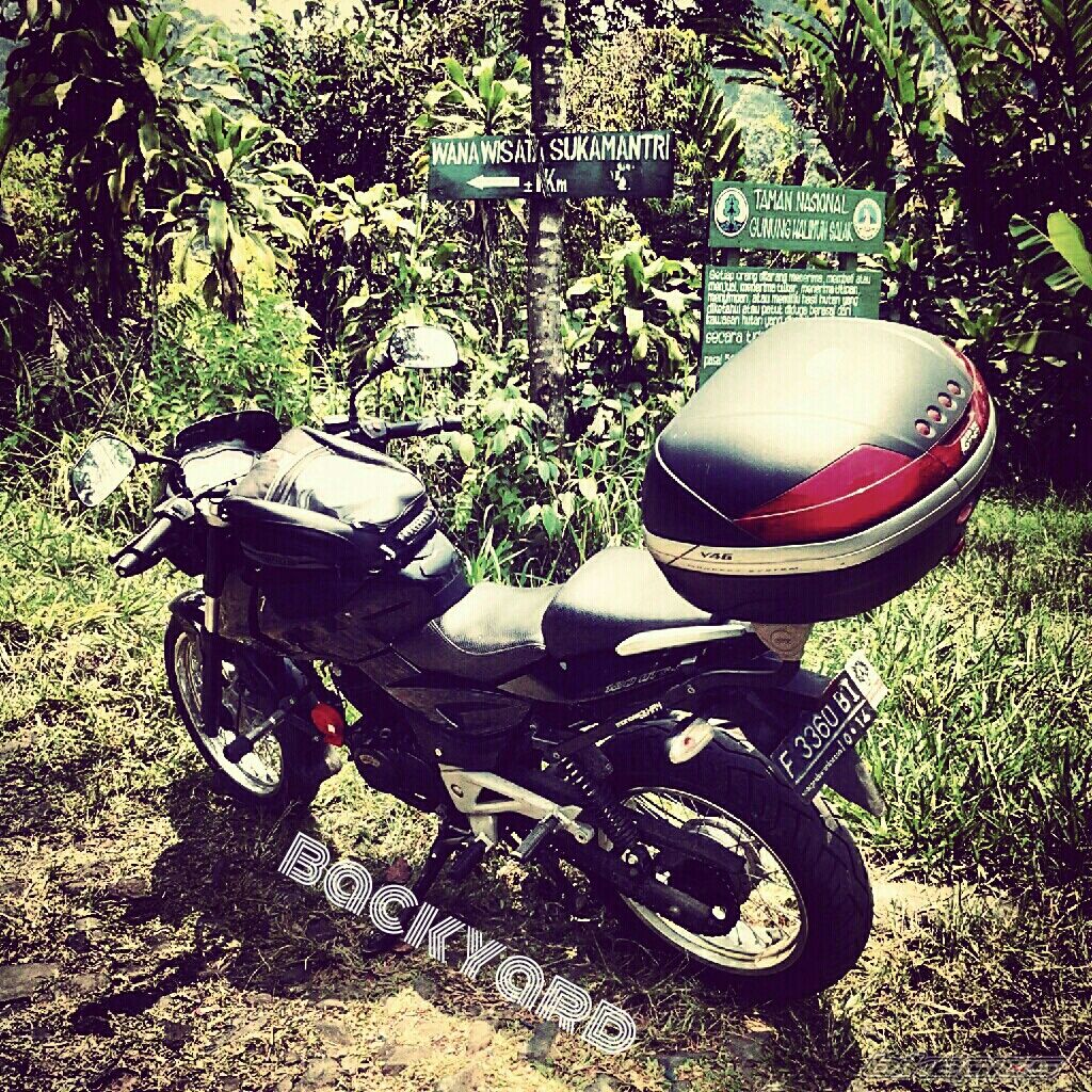 Bike Photo 2468094