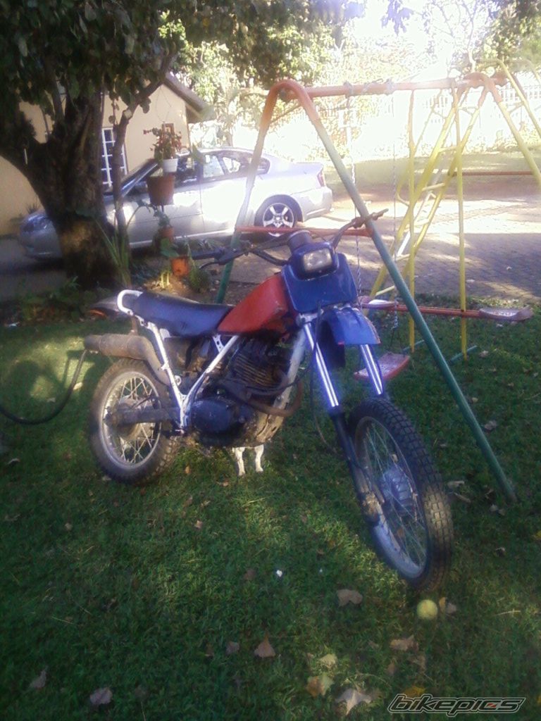 Photo 2468130