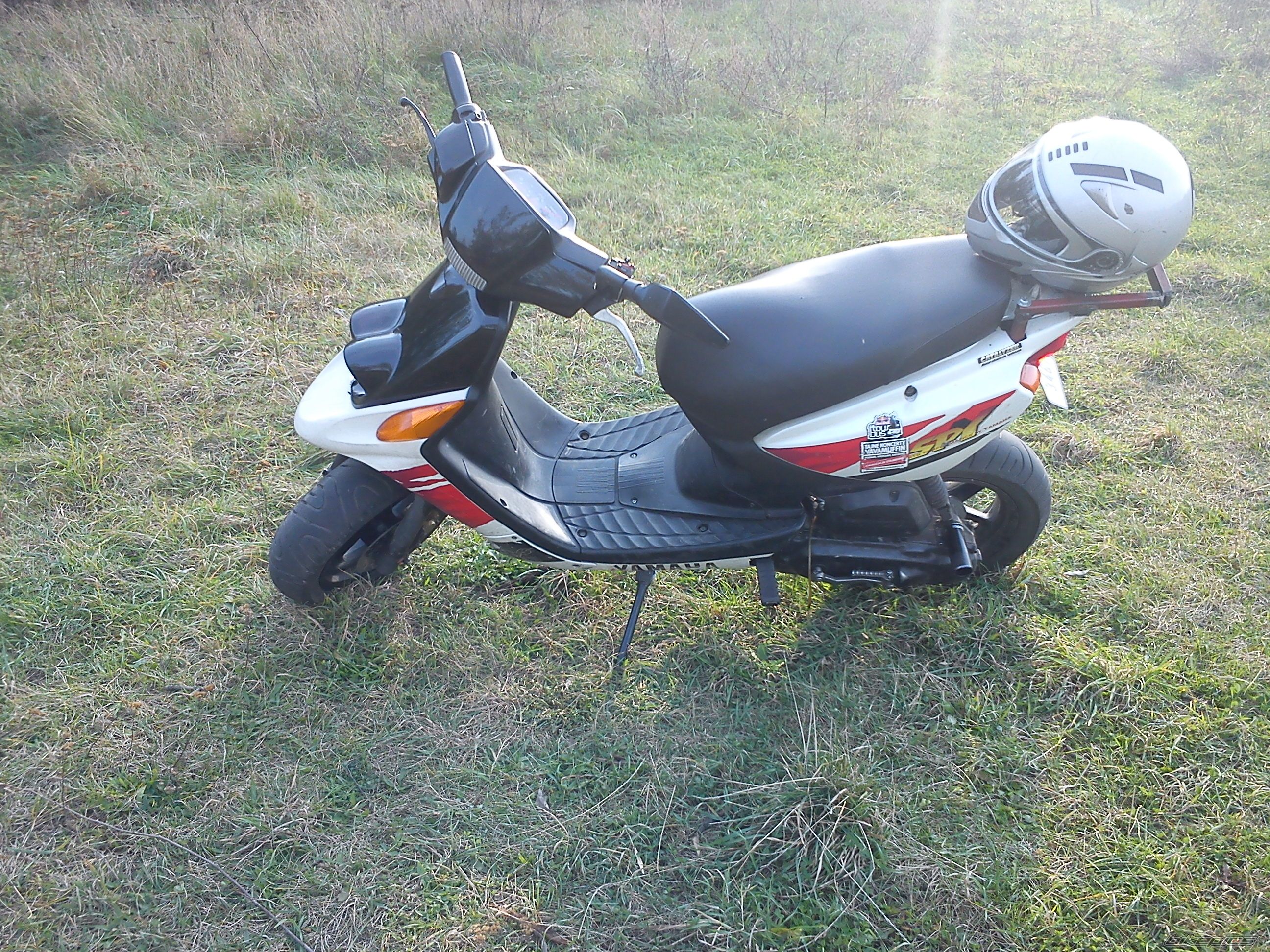 Photo 2468255