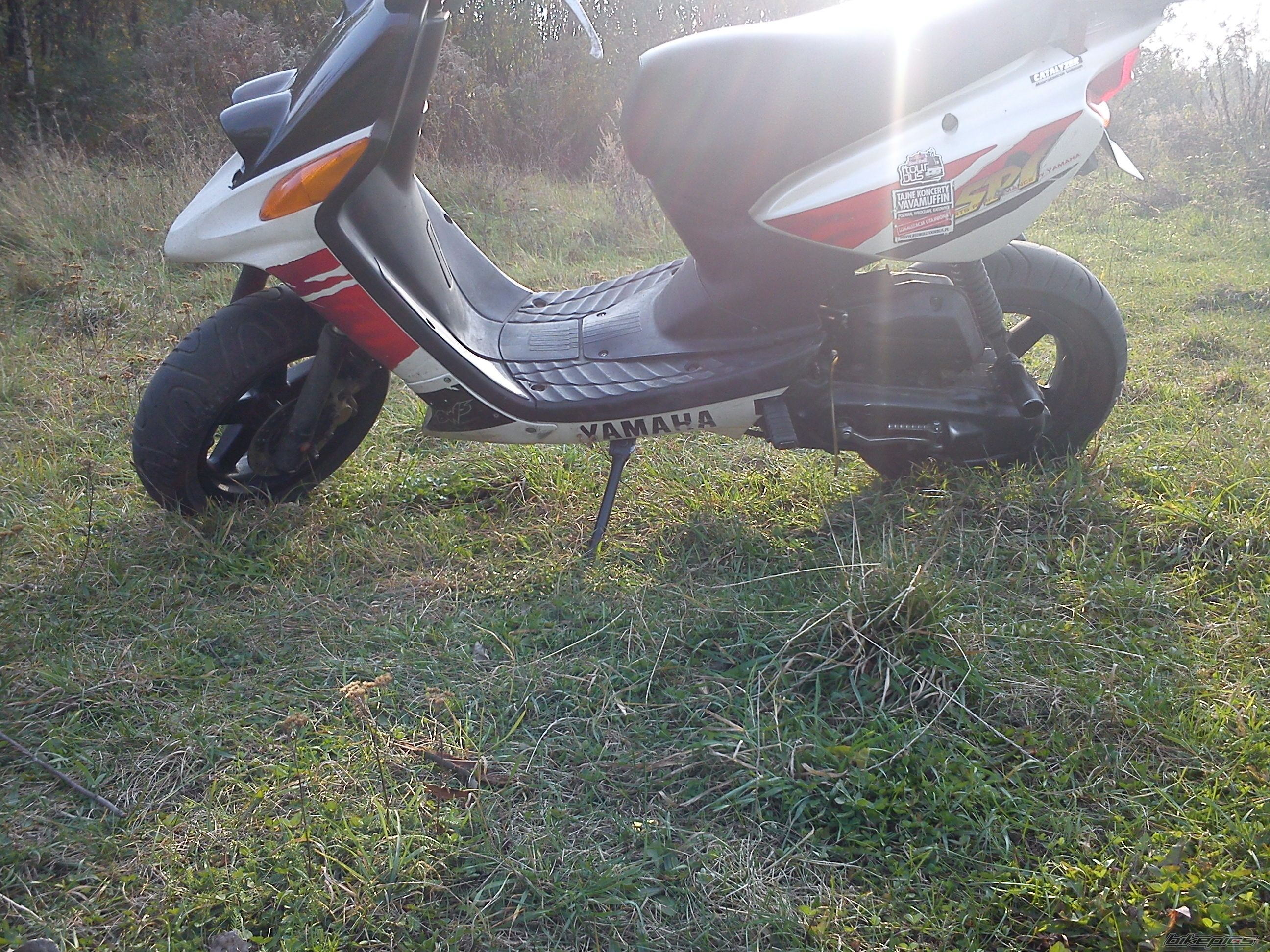 Photo 2468256