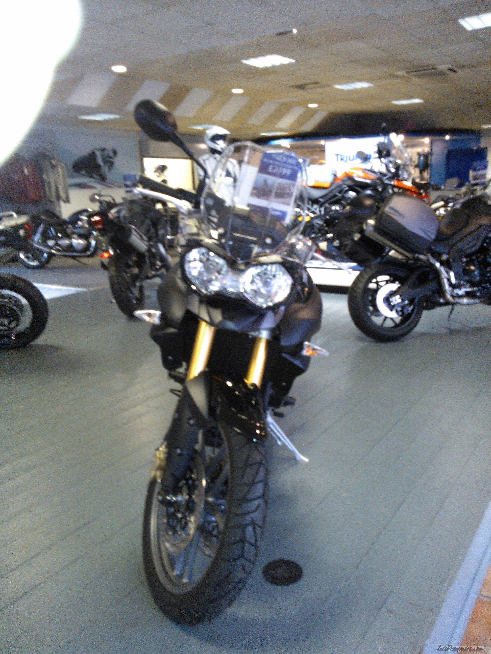 Photo 2468286