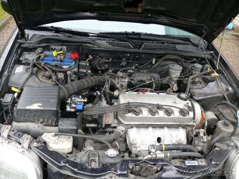 Photo 2468383
