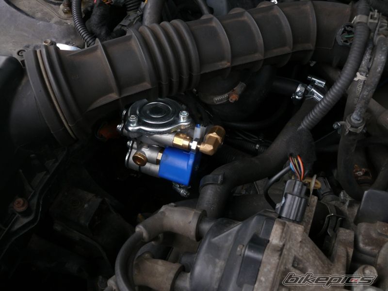 Photo 2468384