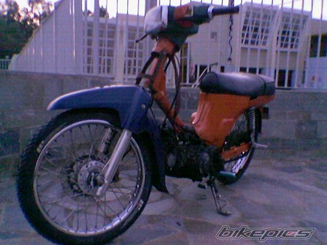 Photo 246840