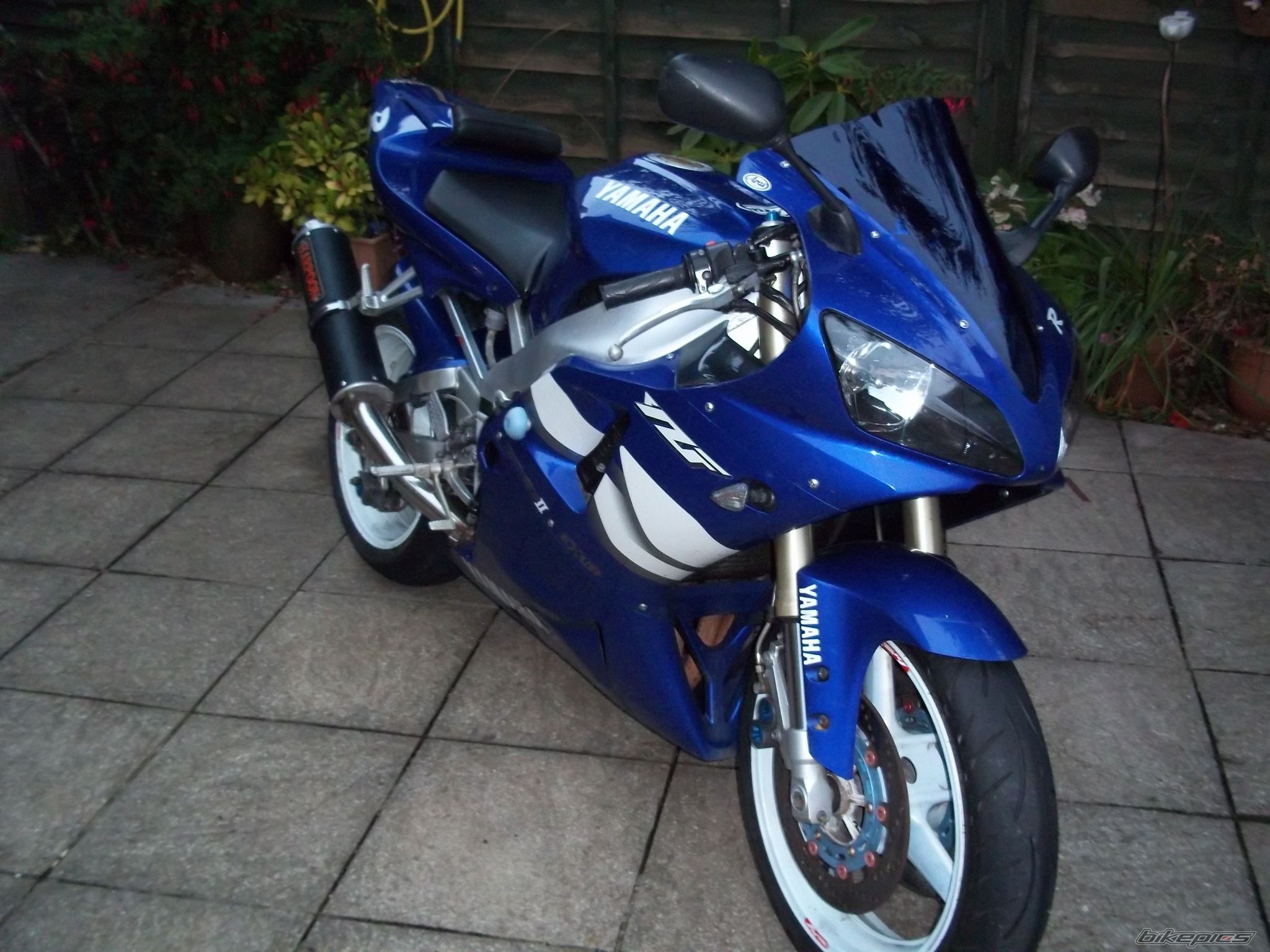 Photo 2468402