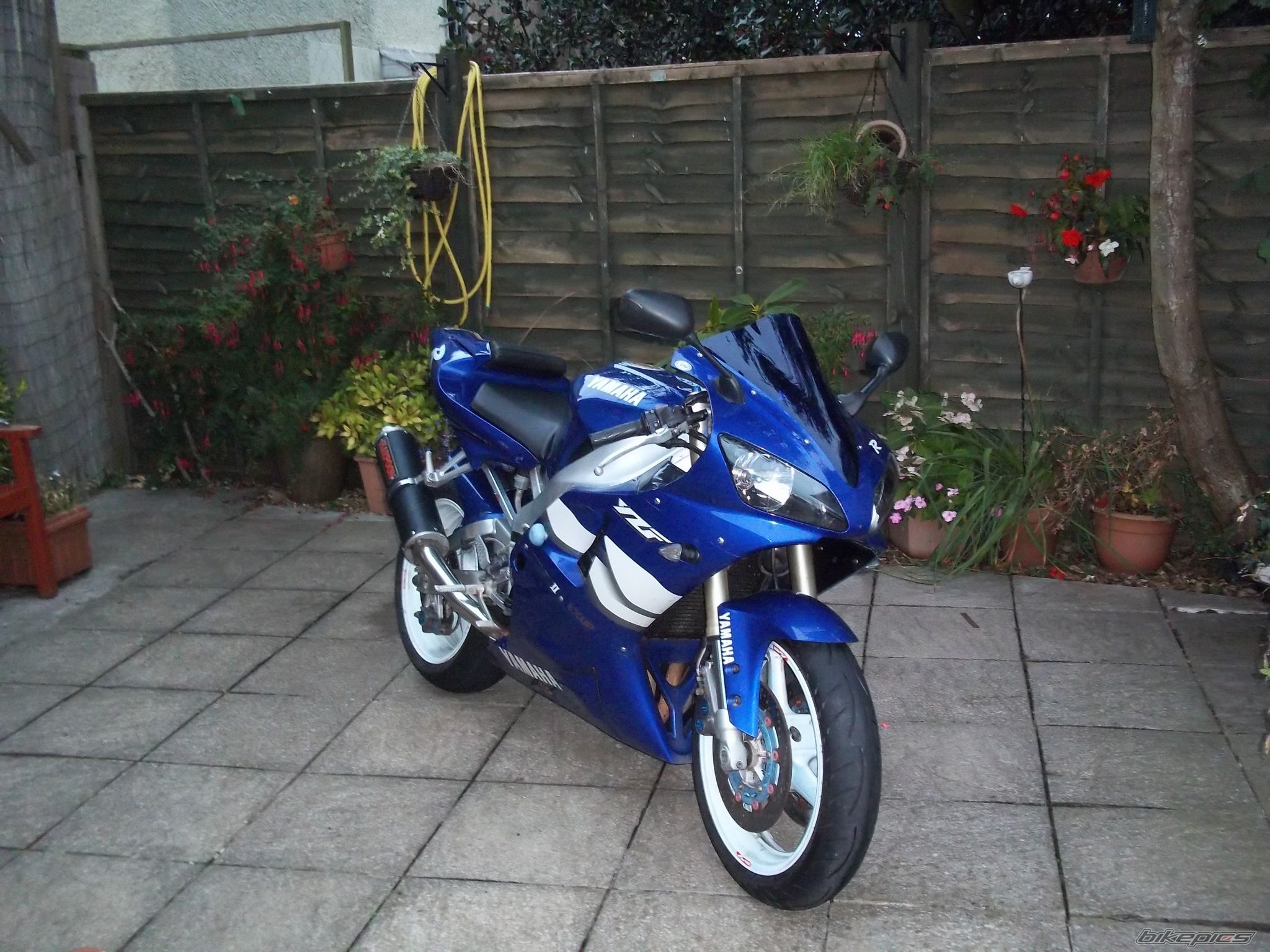Photo 2468407