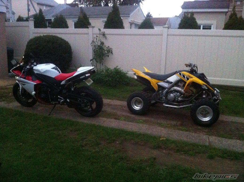 Photo 2468427