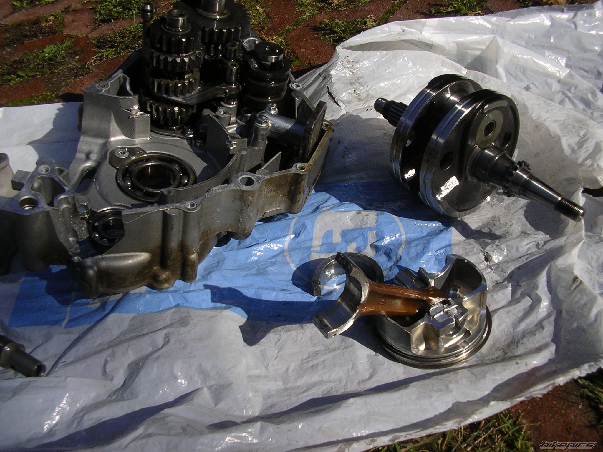 Photo 2468489