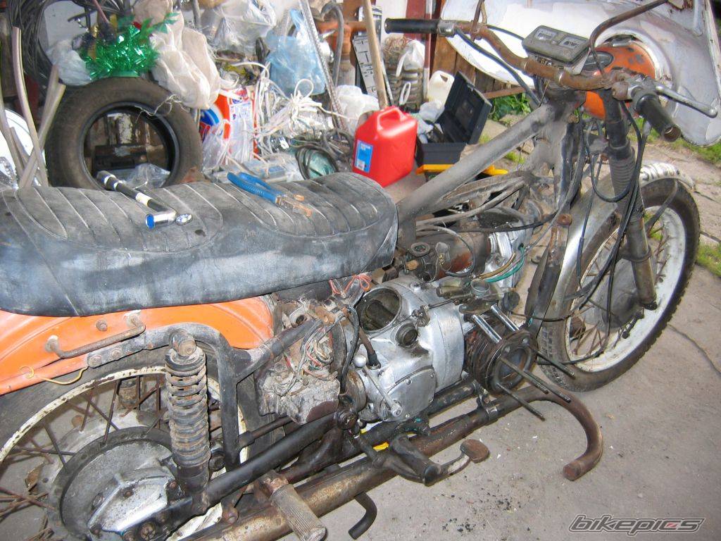 Photo 246849