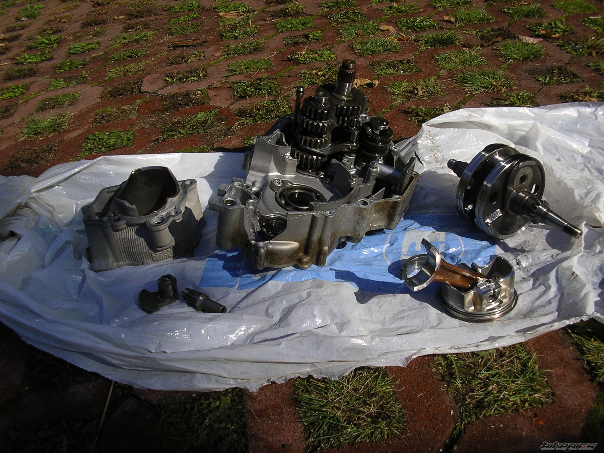 Photo 2468491