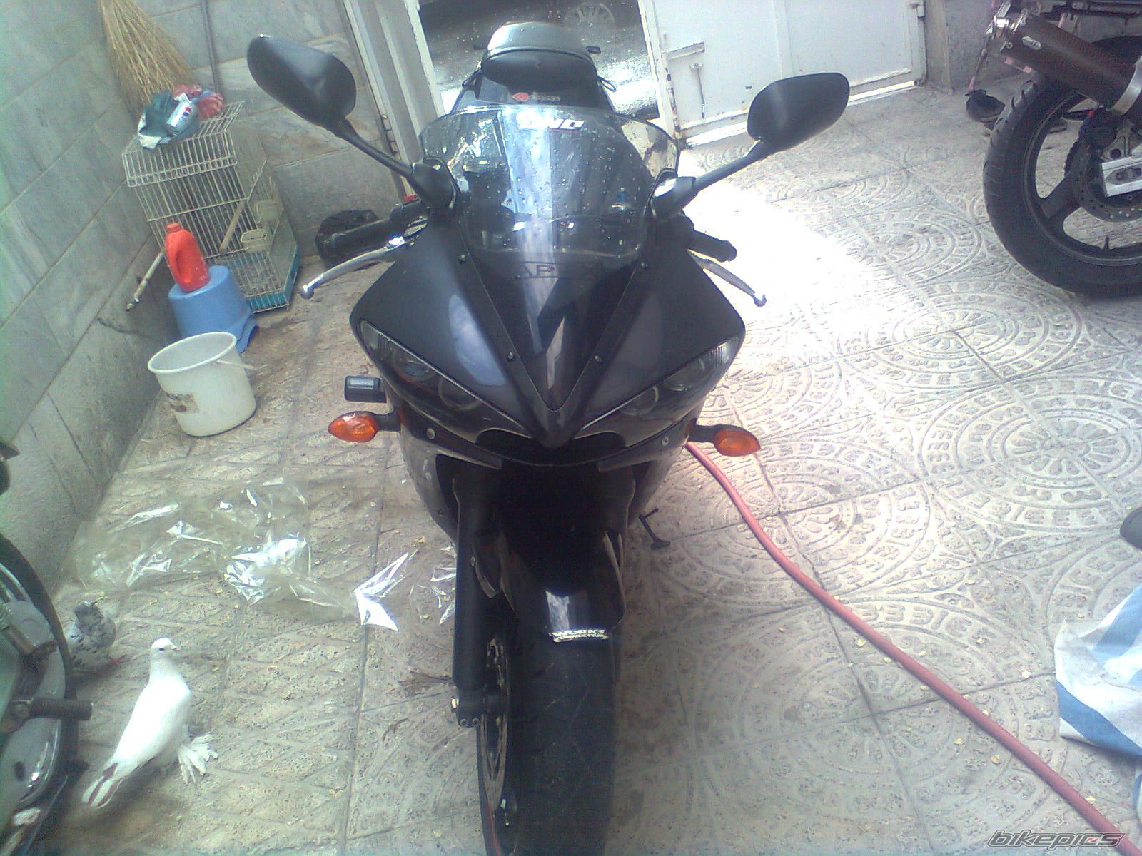 Photo 2468676