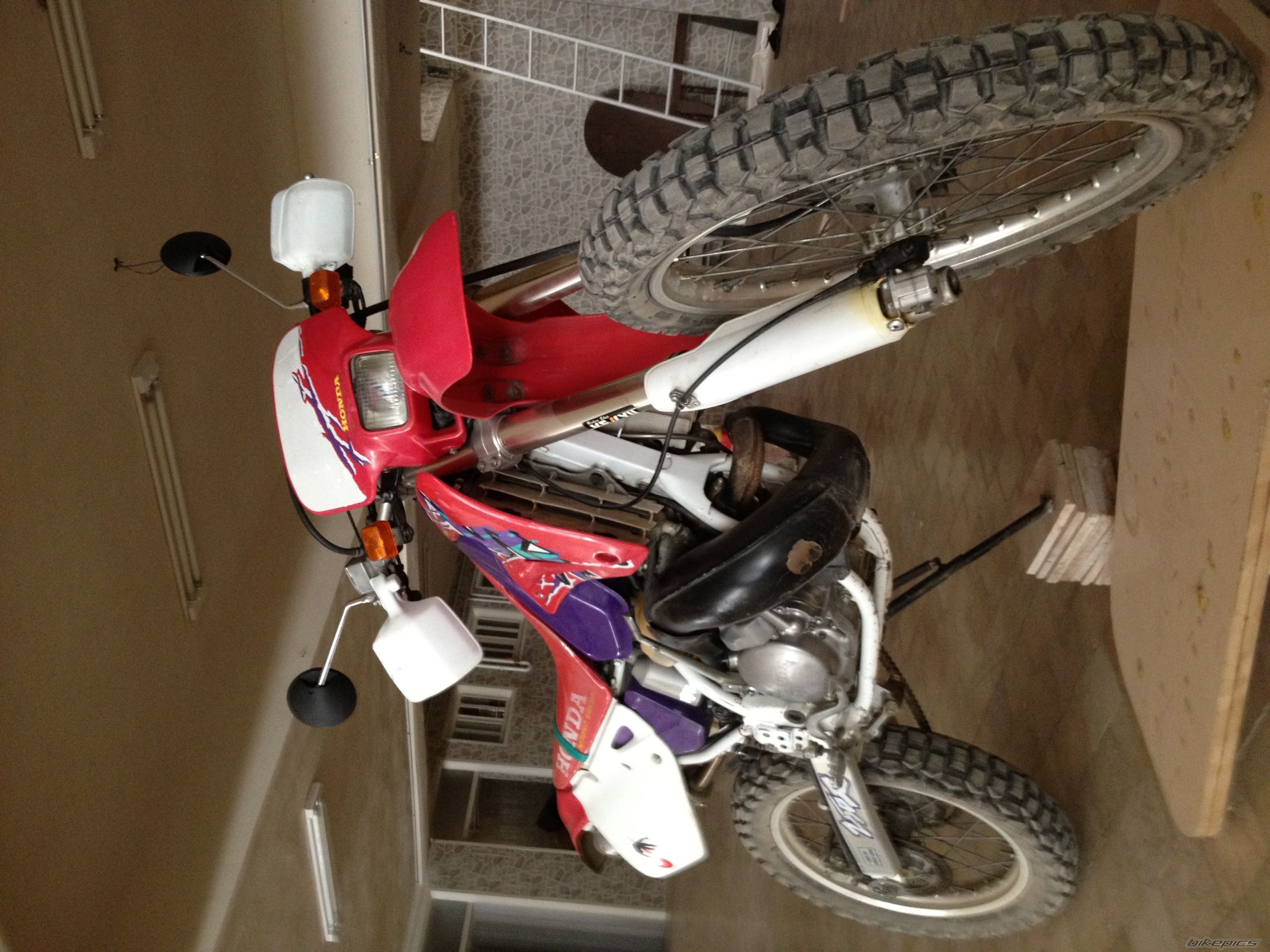 Photo 2468749