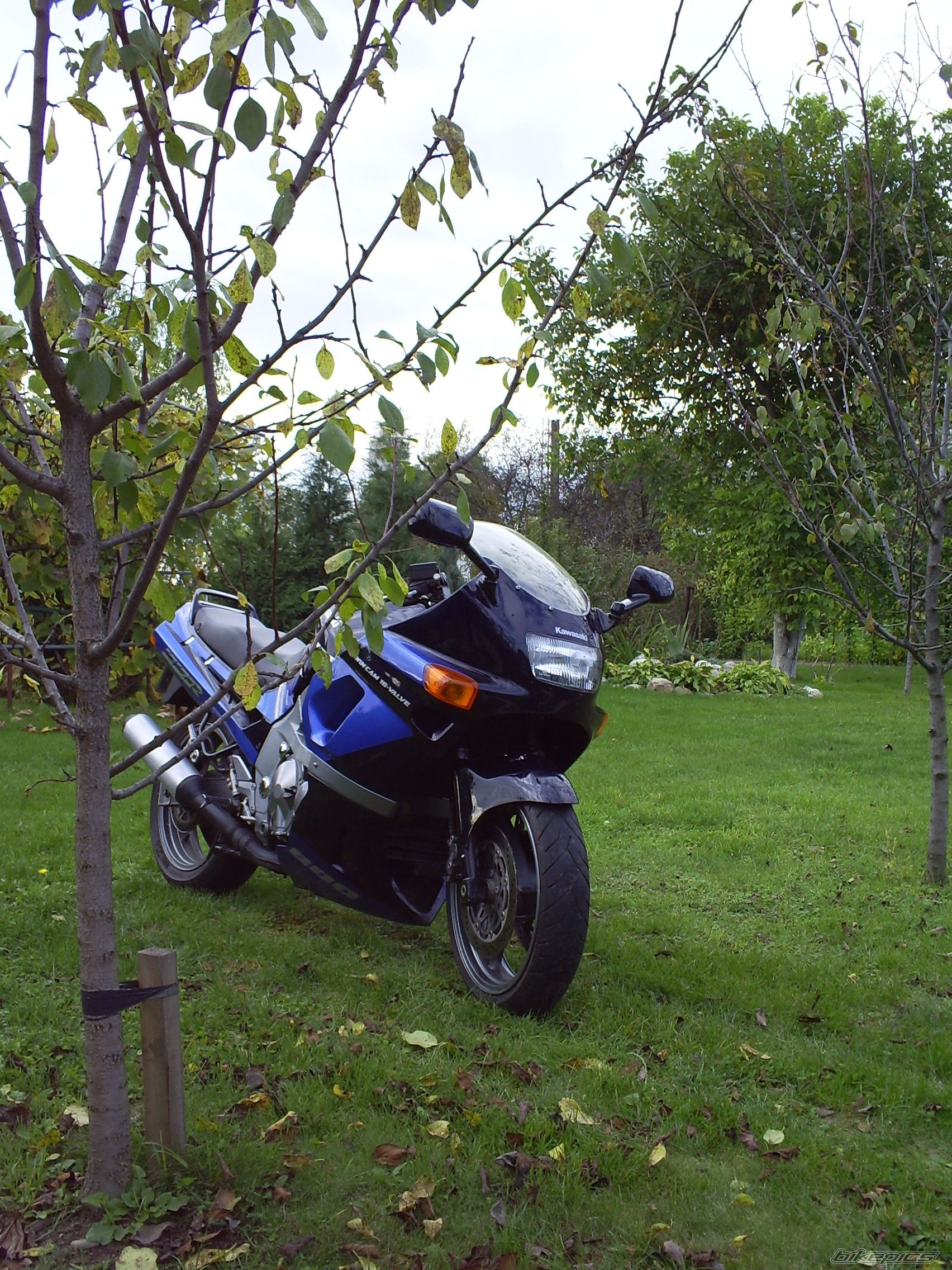 Bike Photo 2468771