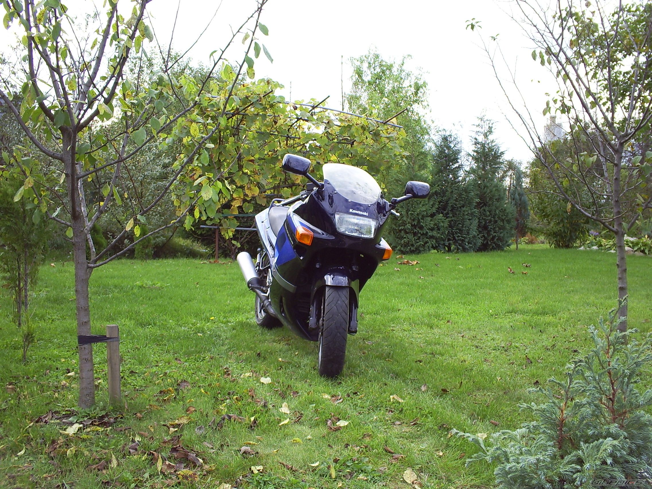 Bike Photo 2468776