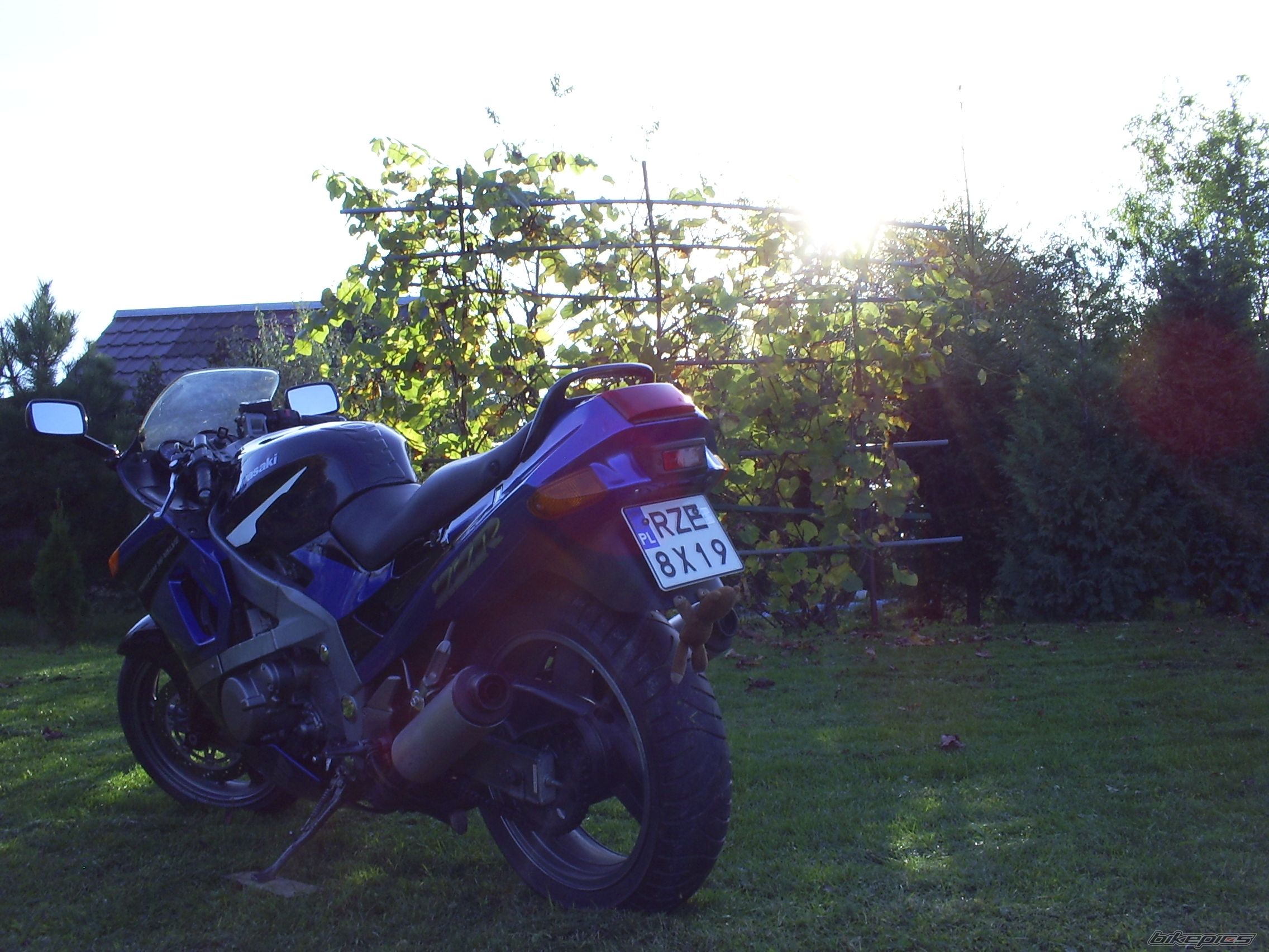 Bike Photo 2468790