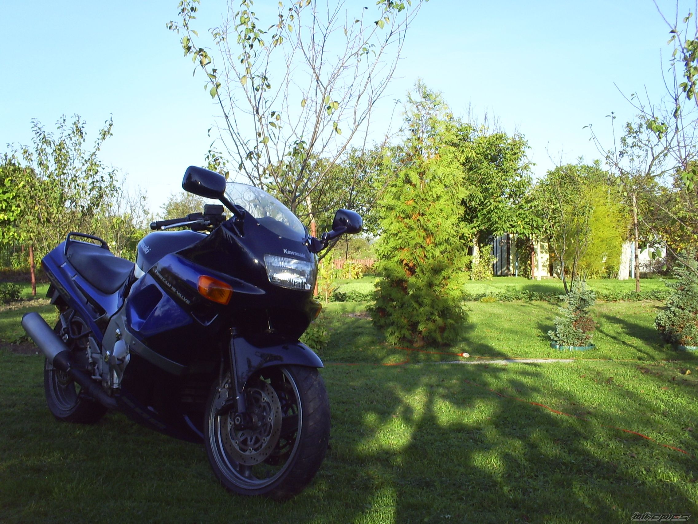 Photo 2468791