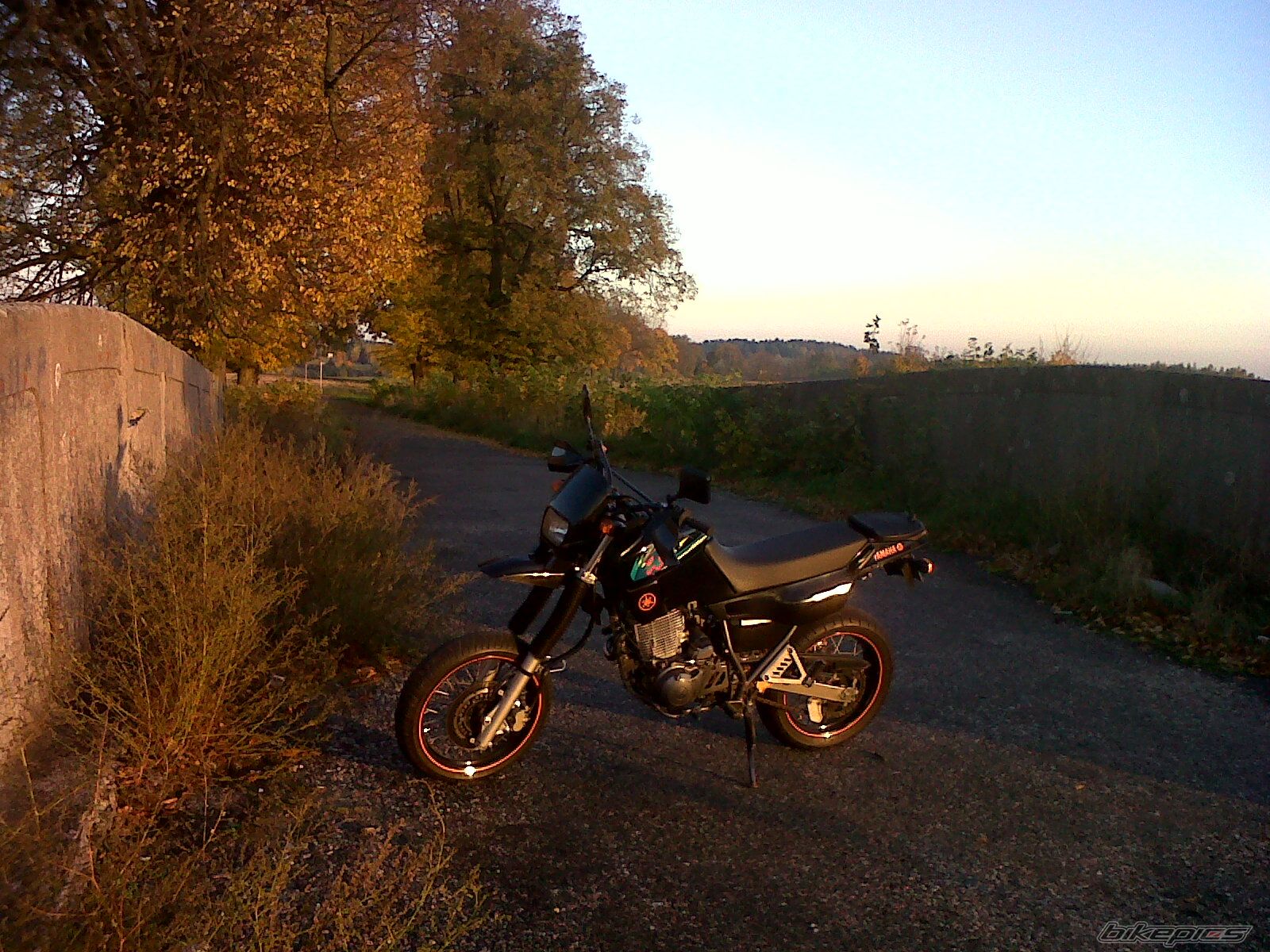 Photo 2468866