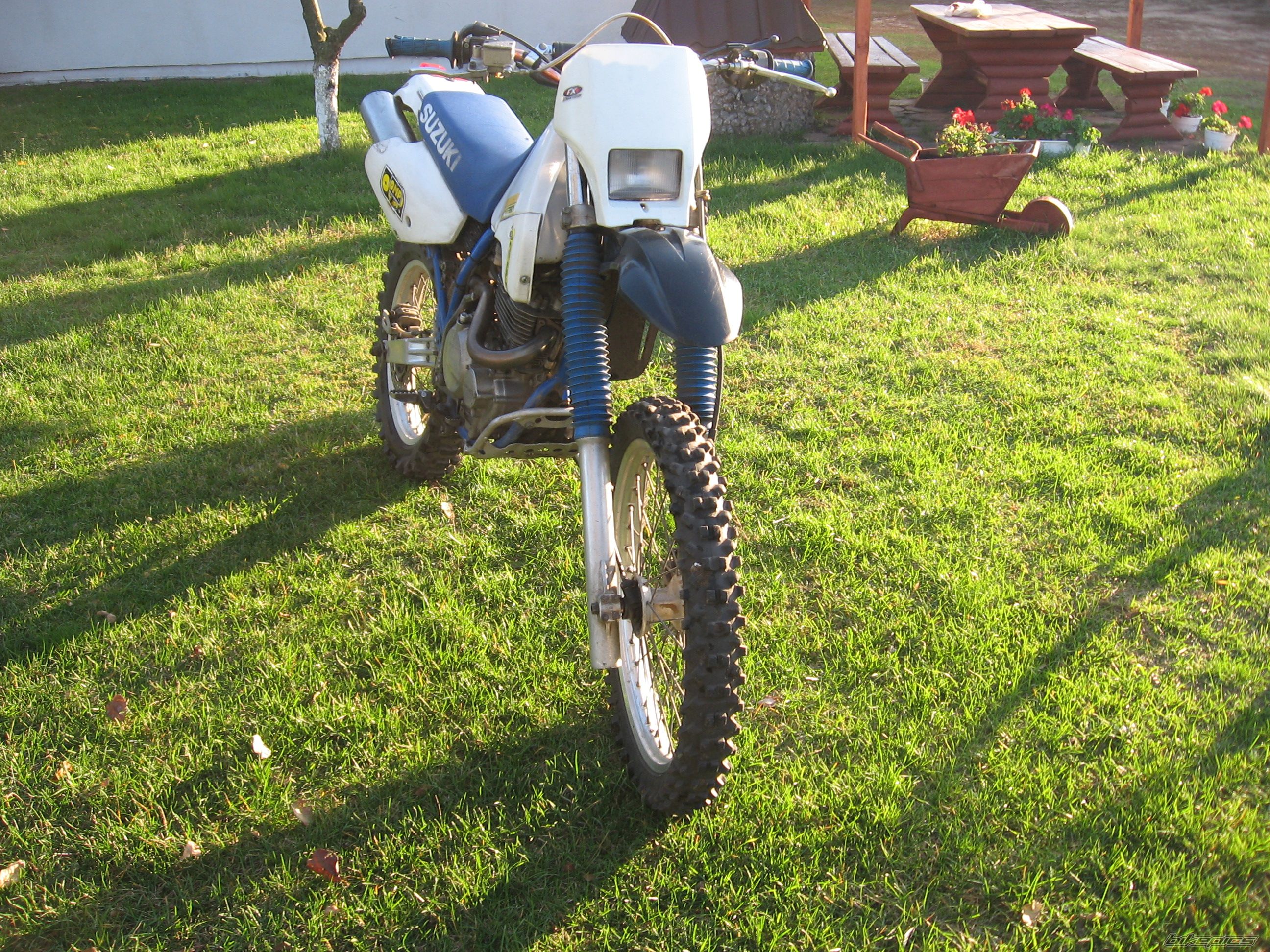 Photo 2468869
