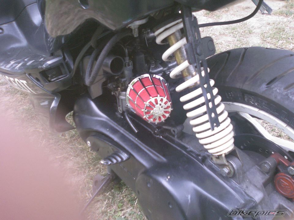 Photo 2468876