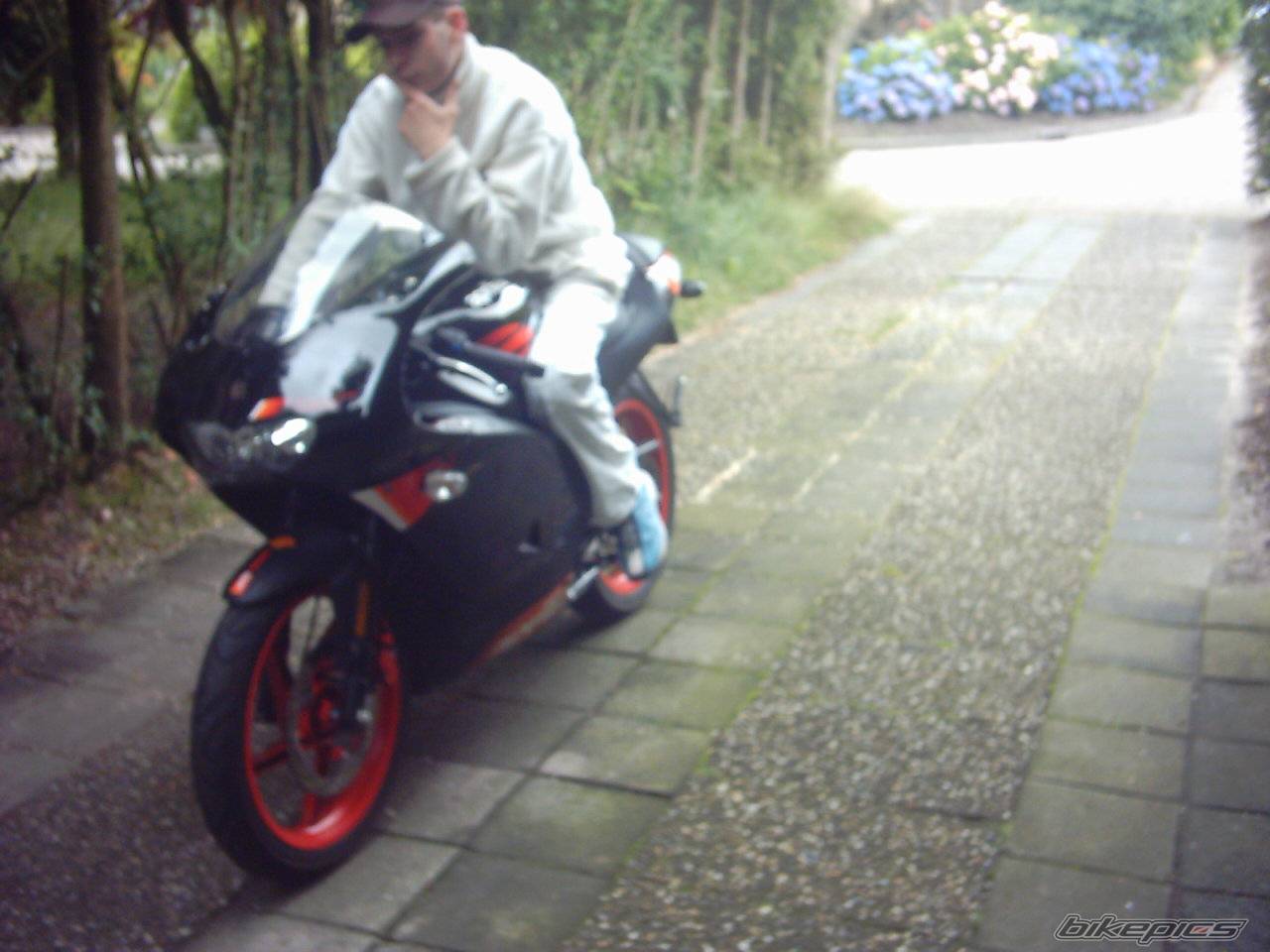 Photo 246899