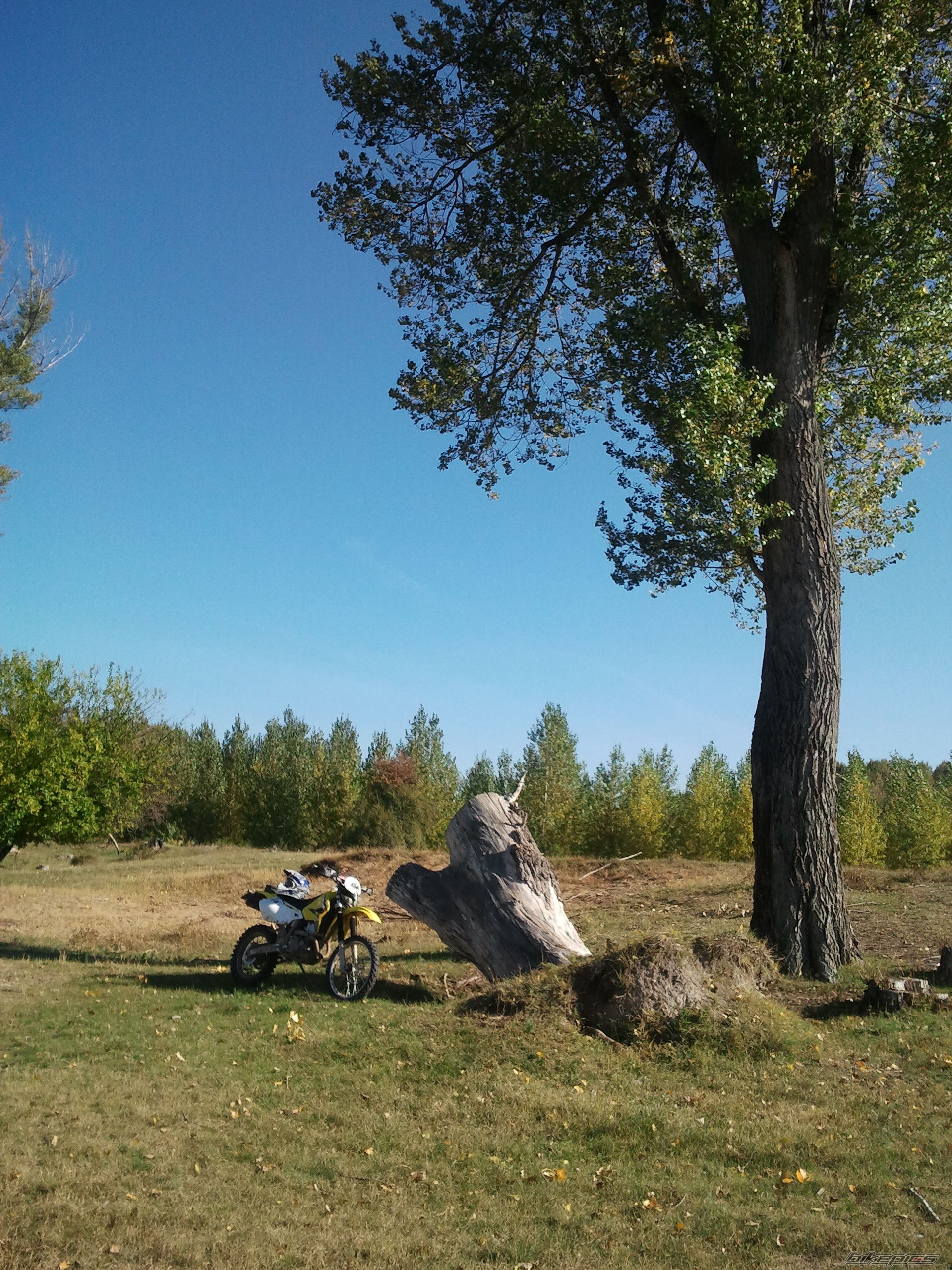 Bike Photo 2469013