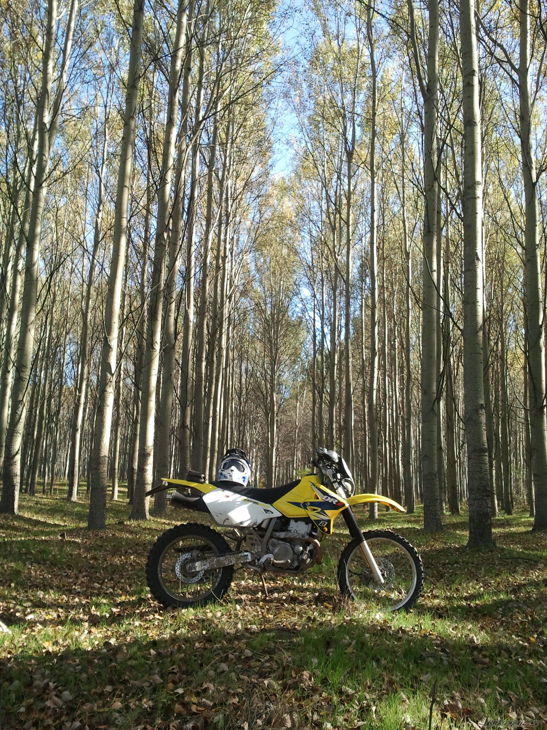 Bike Photo 2469017