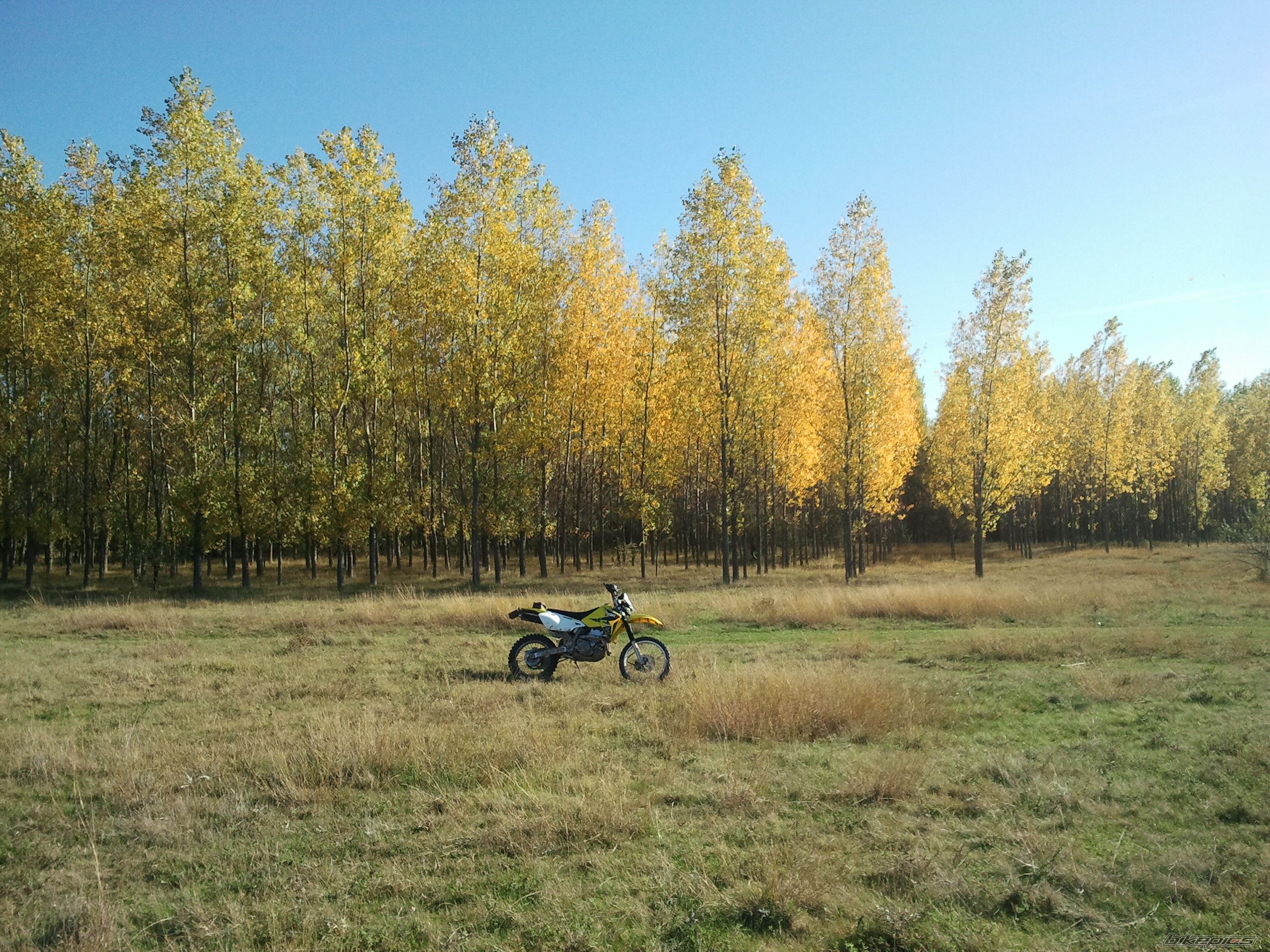 Bike Photo 2469018