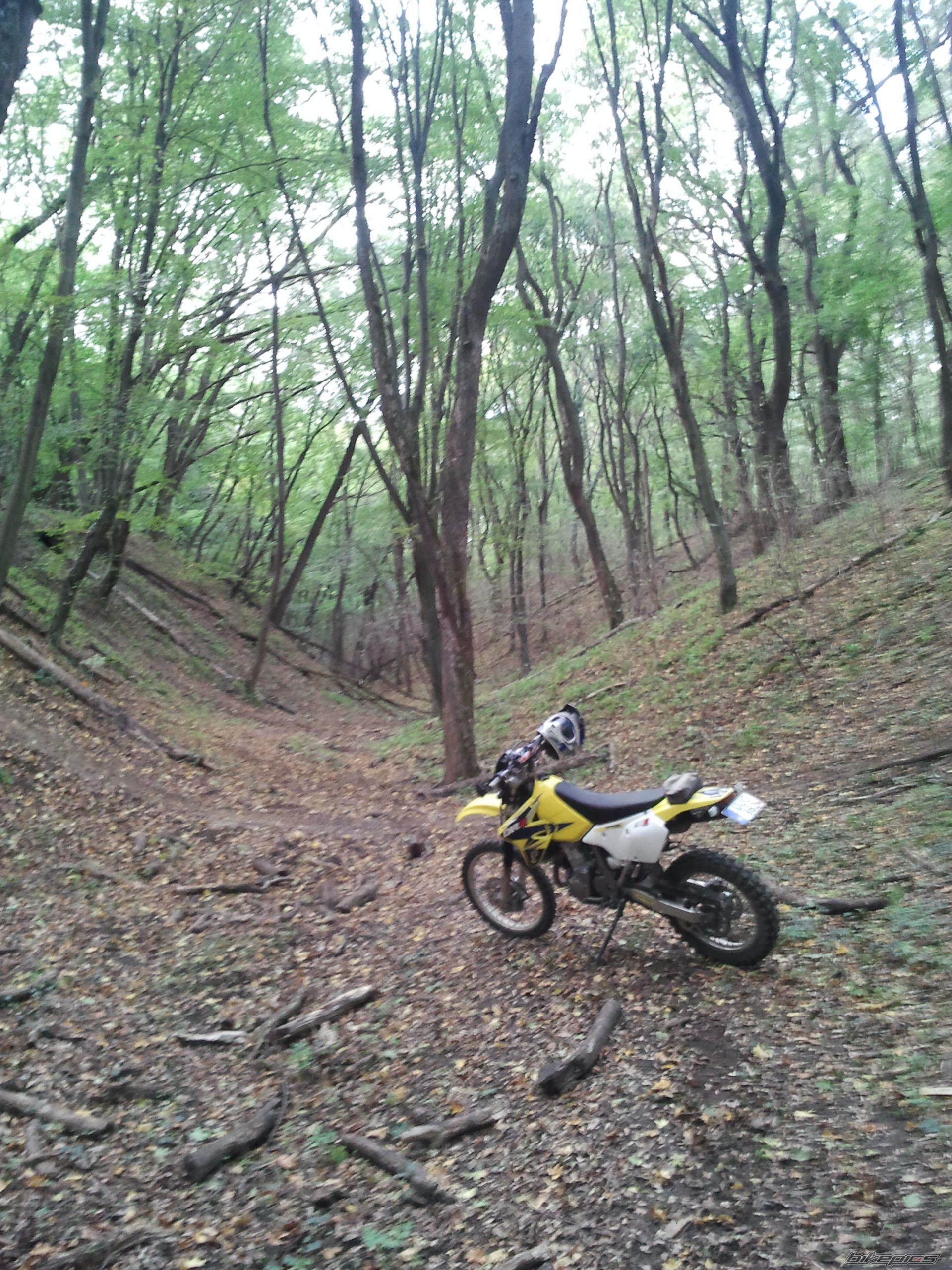 Bike Photo 2469023