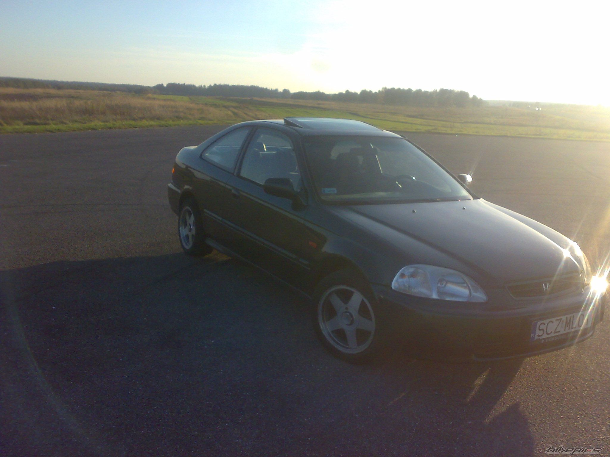 Photo 2469065