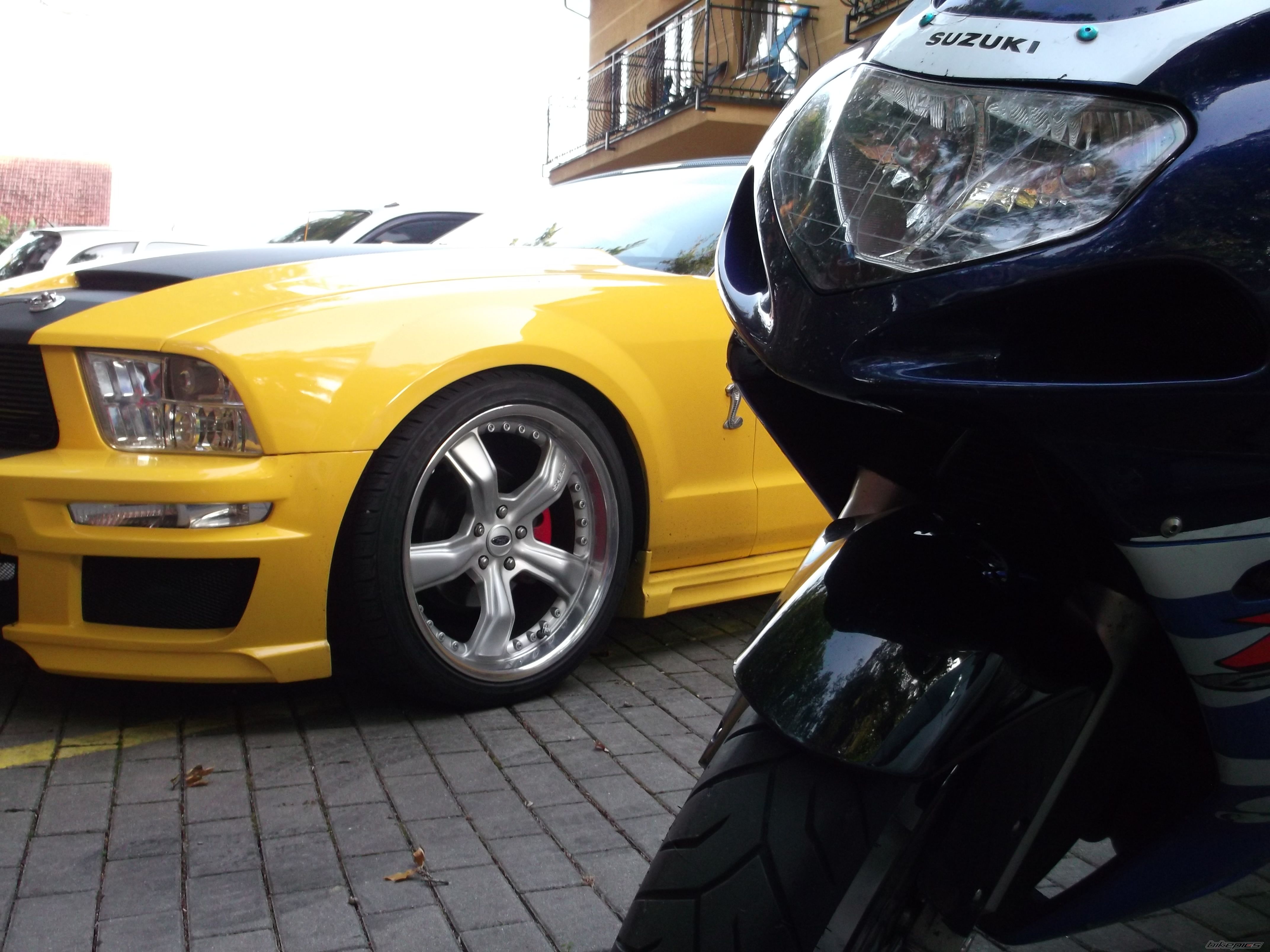 Photo 2469103