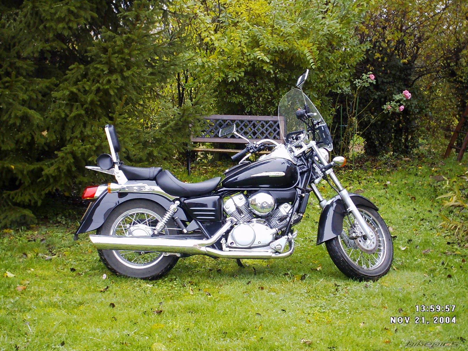 Photo 246911