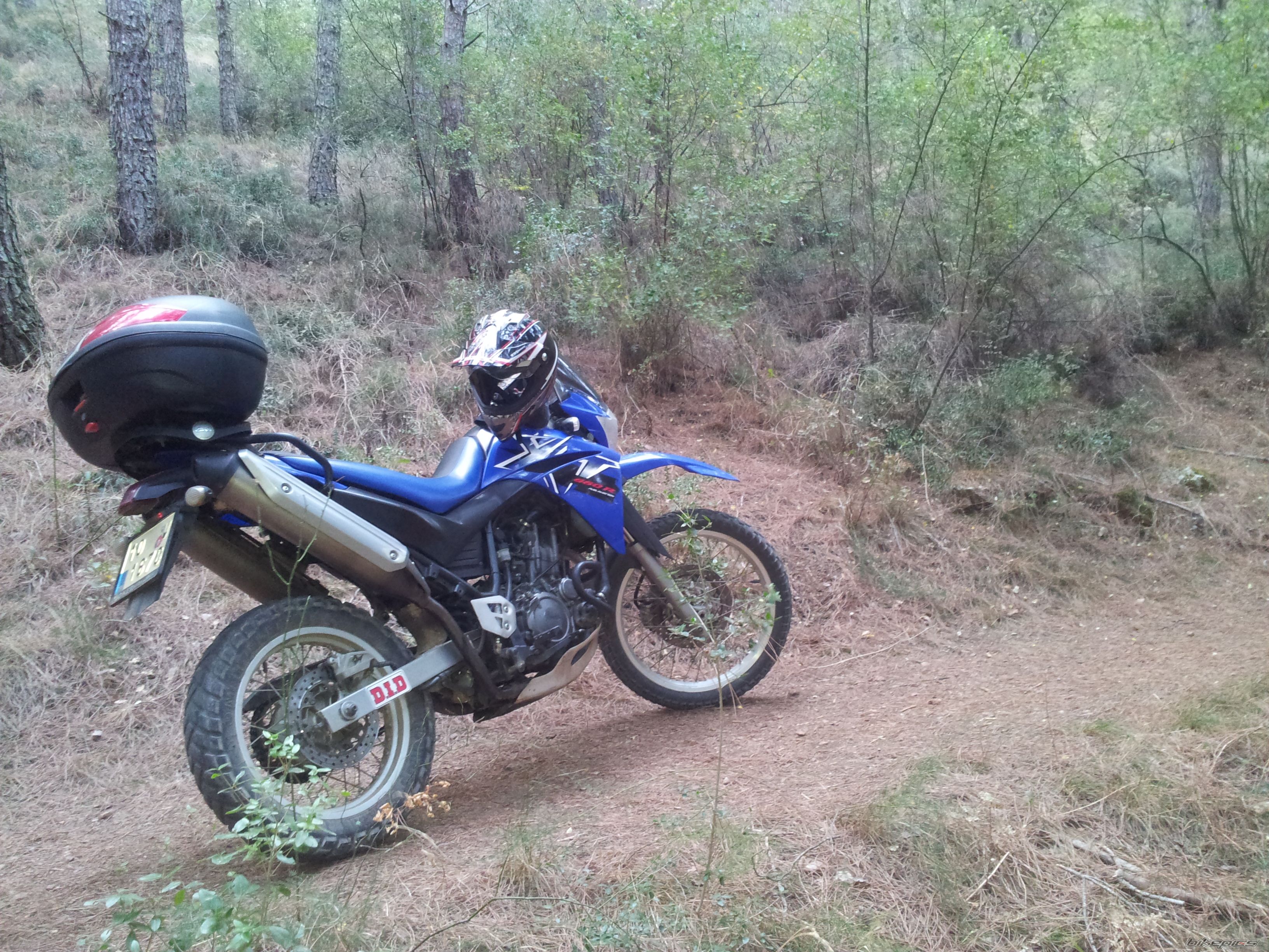 Bike Photo 2469183