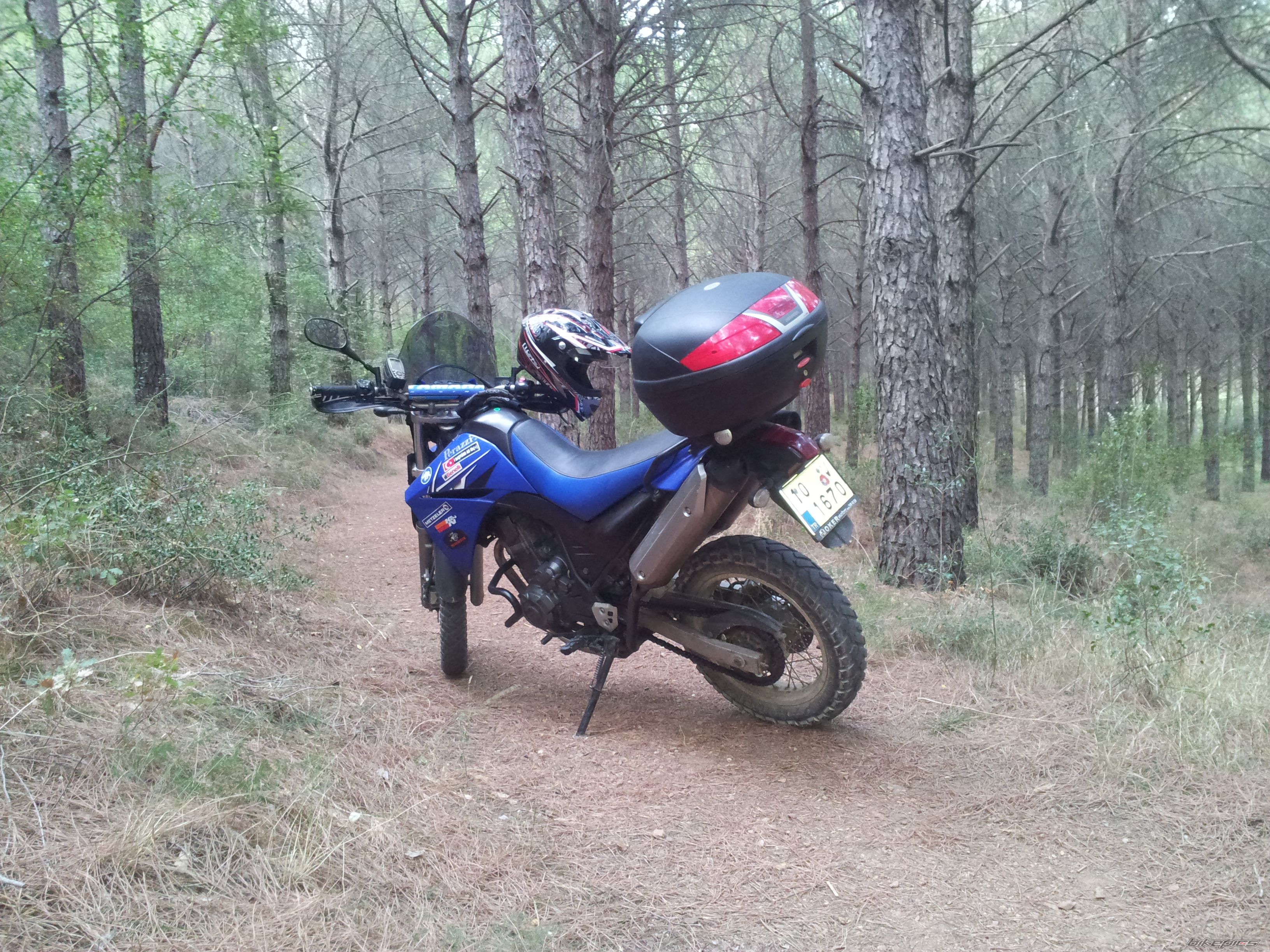 Bike Photo 2469184