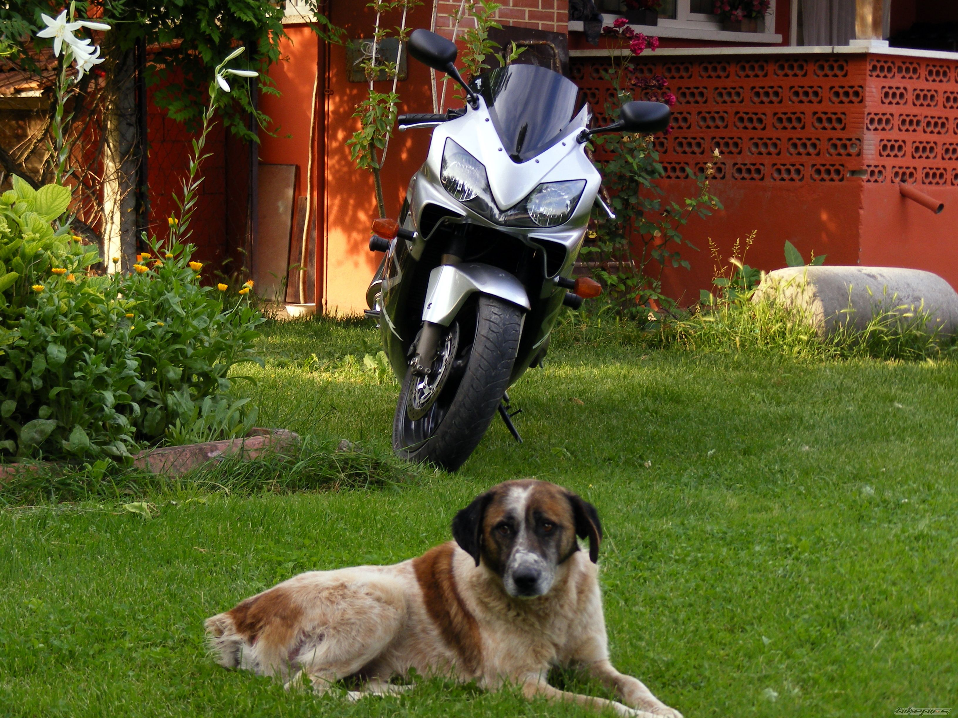 Bike Photo 2469202