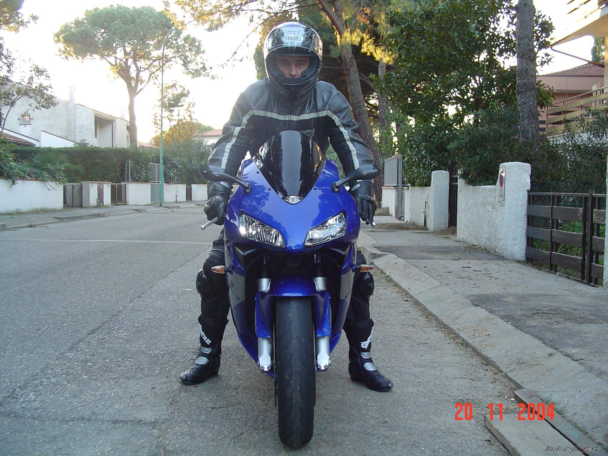 Photo 246921
