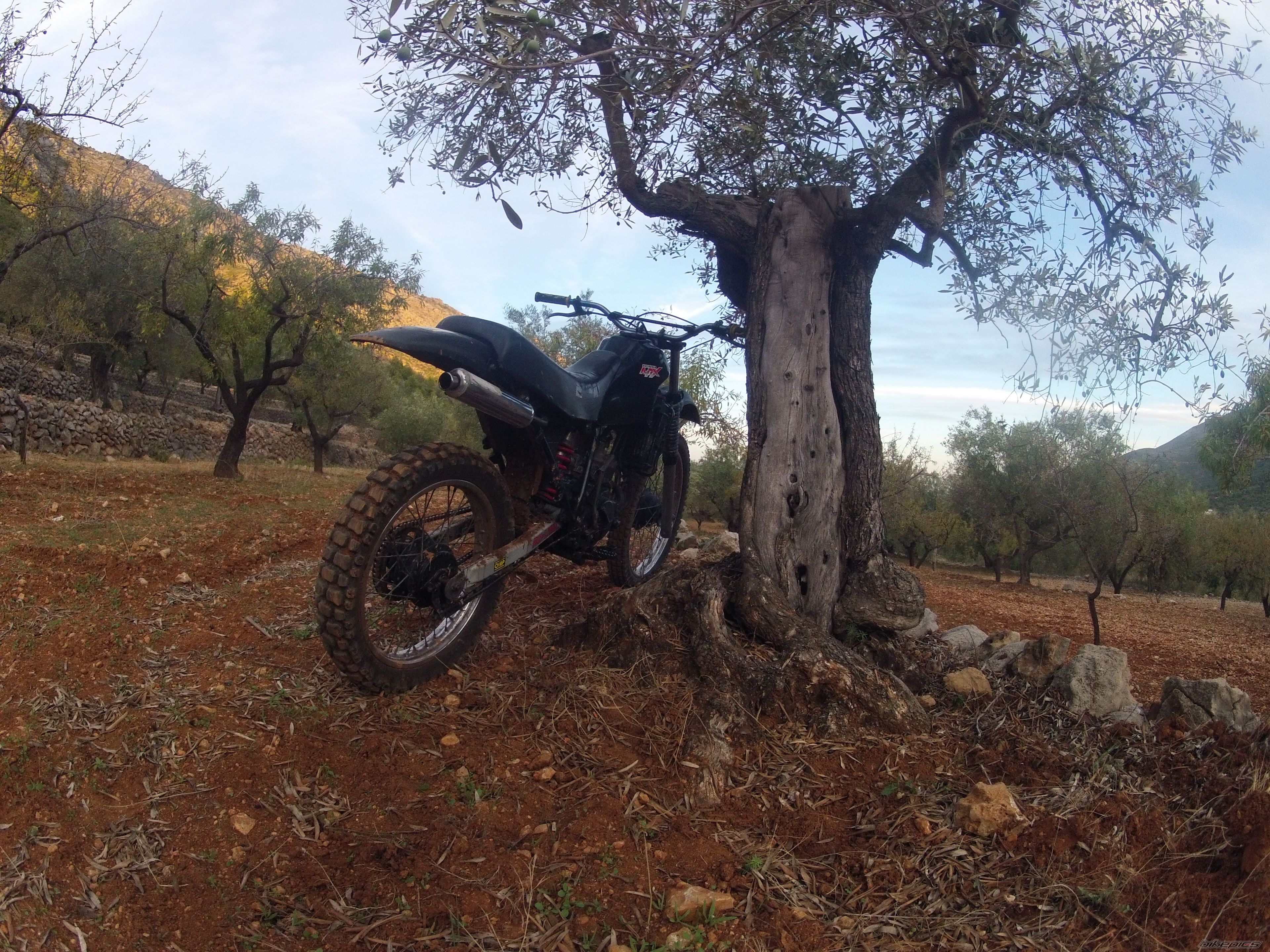 Photo 2469261