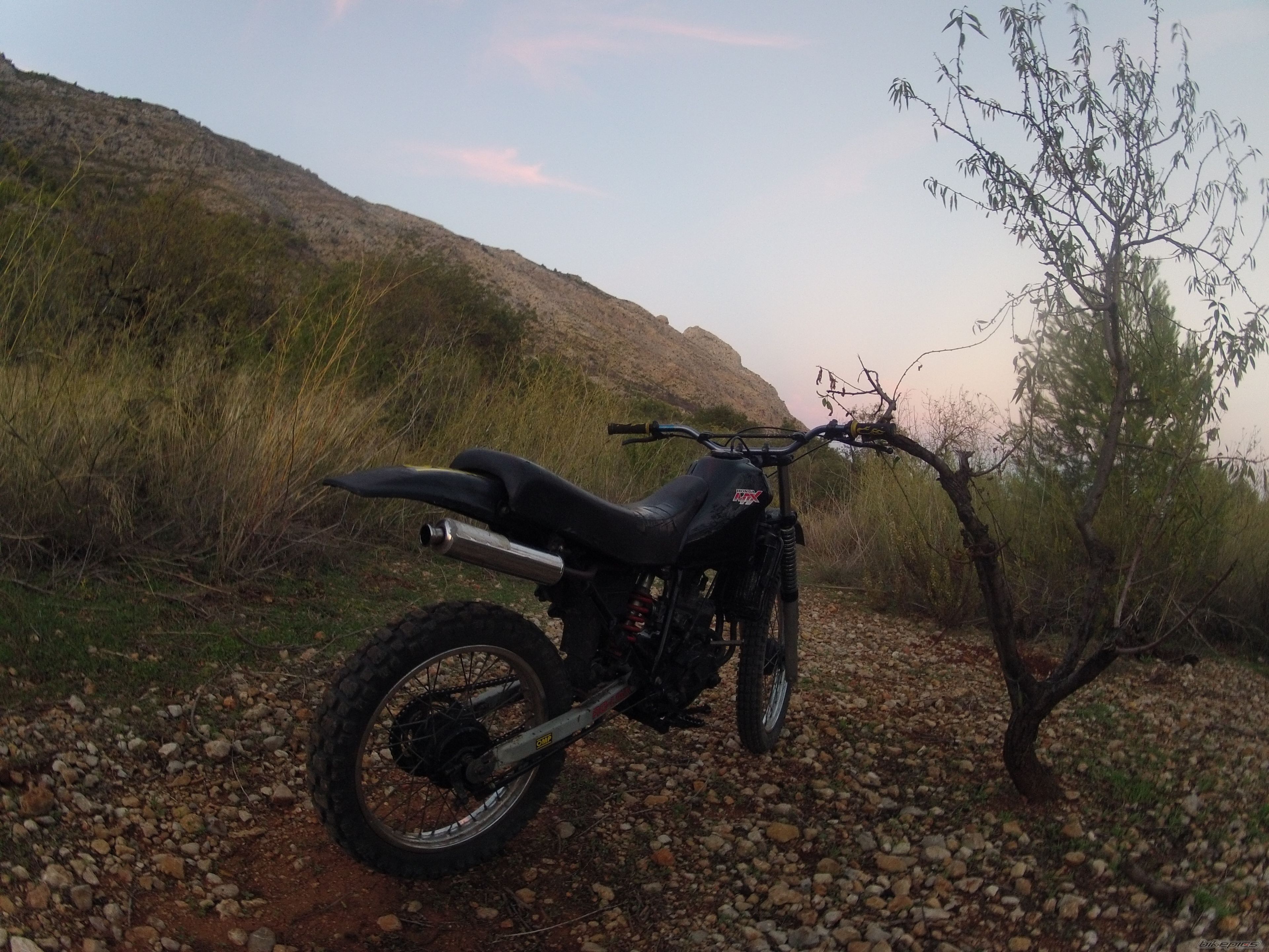 Photo 2469267