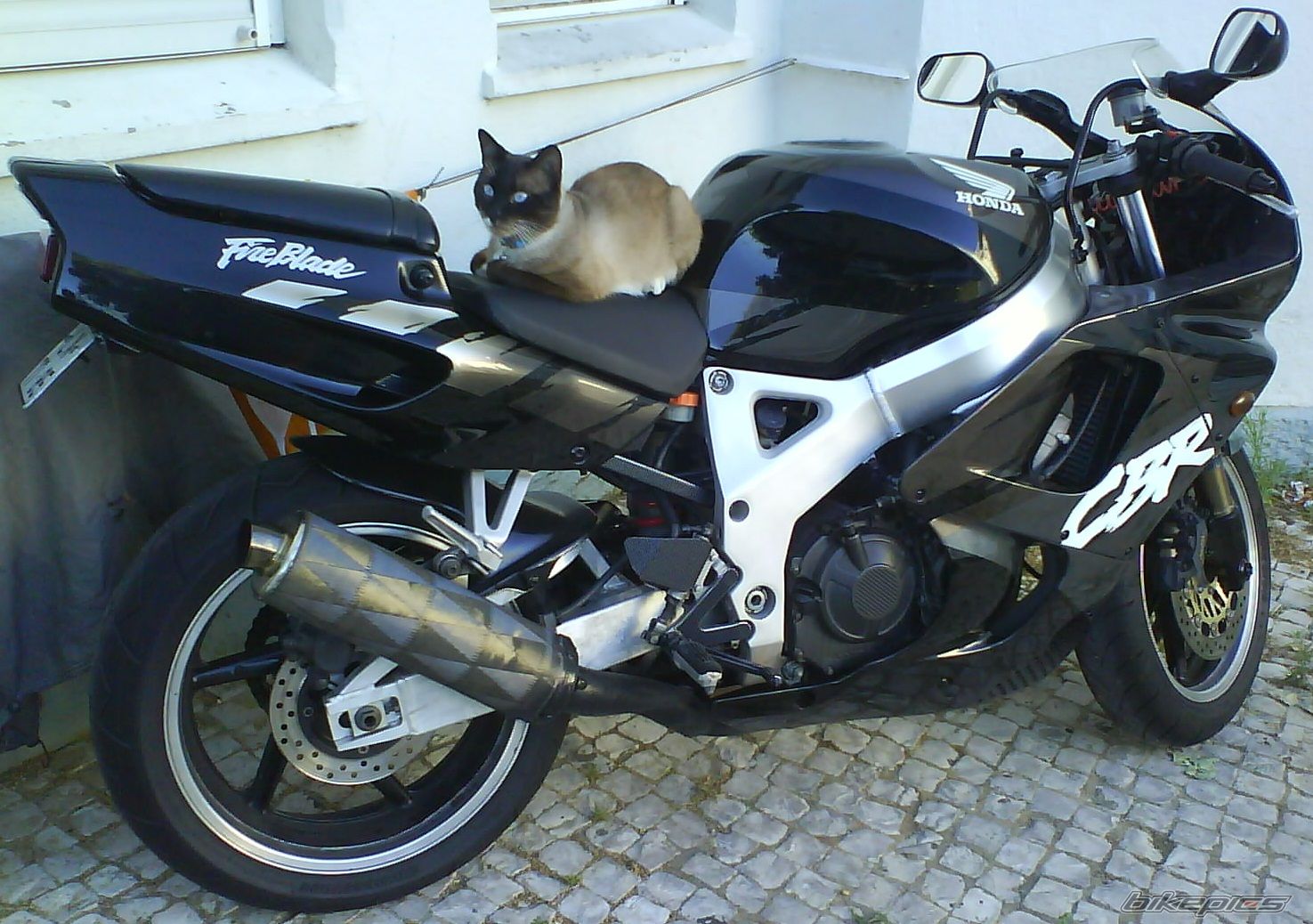 Photo 2469272