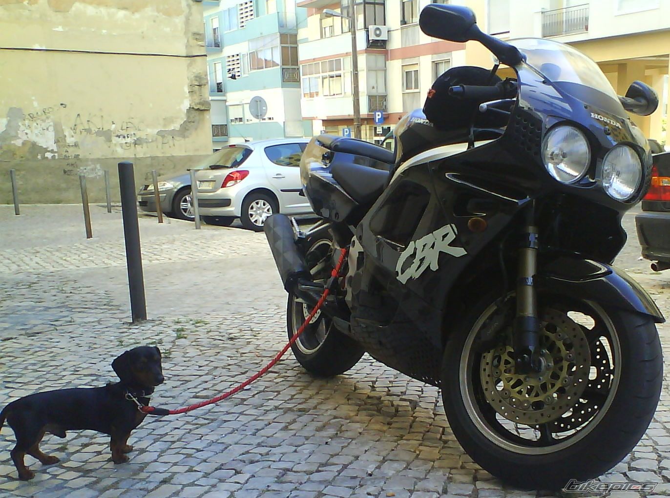 Photo 2469281