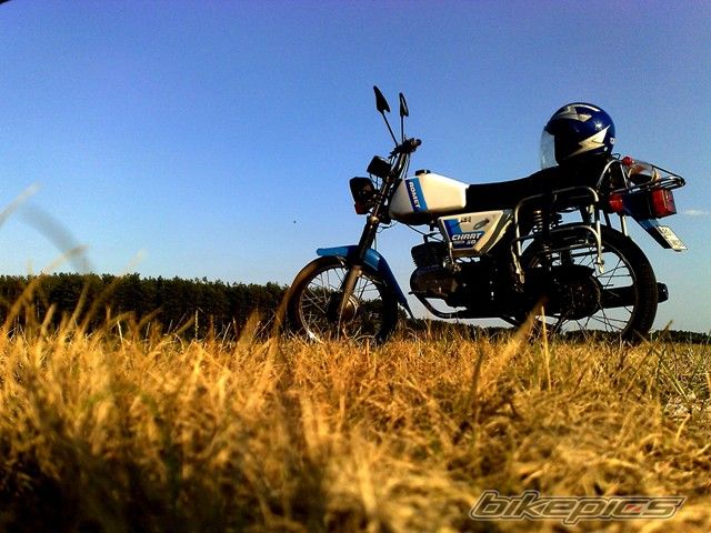 Photo 2469351