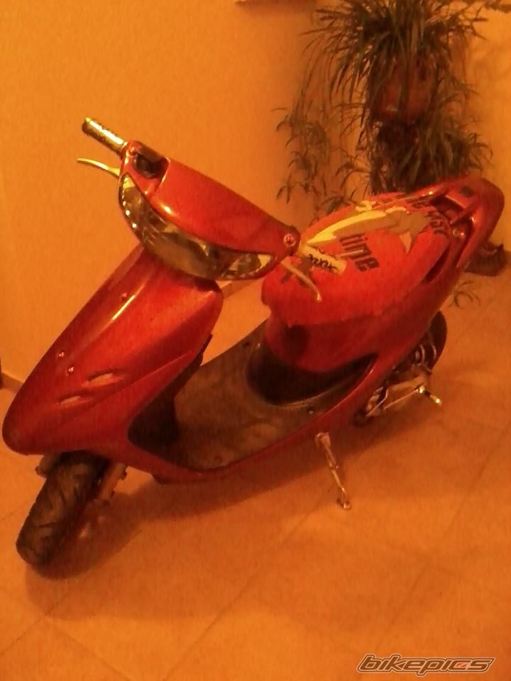 Photo 2469391