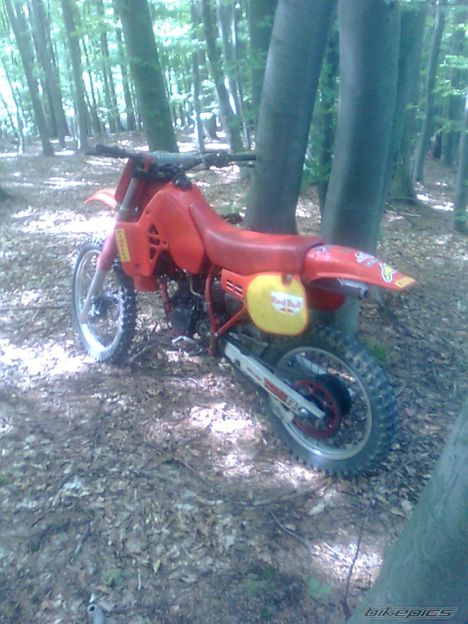 Photo 2469453