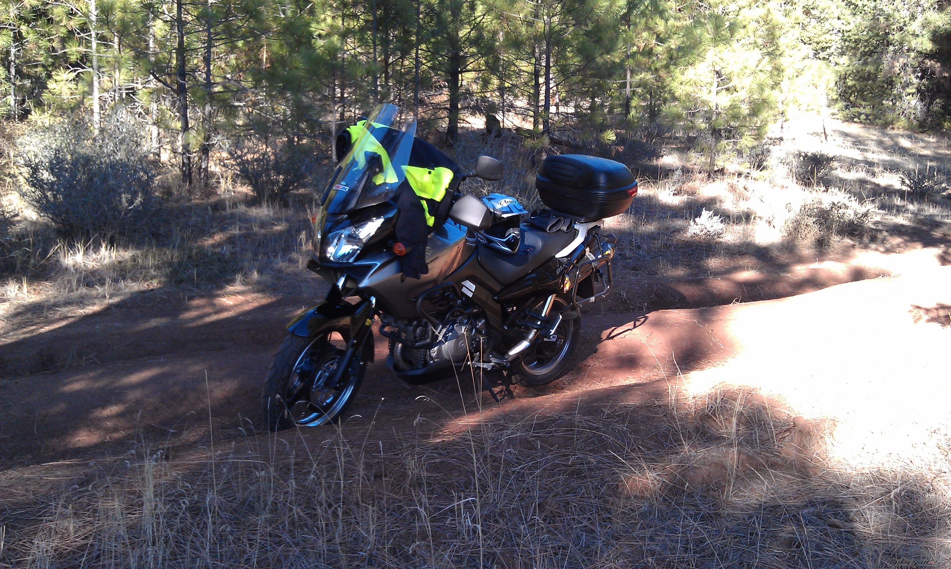 Photo 2469509