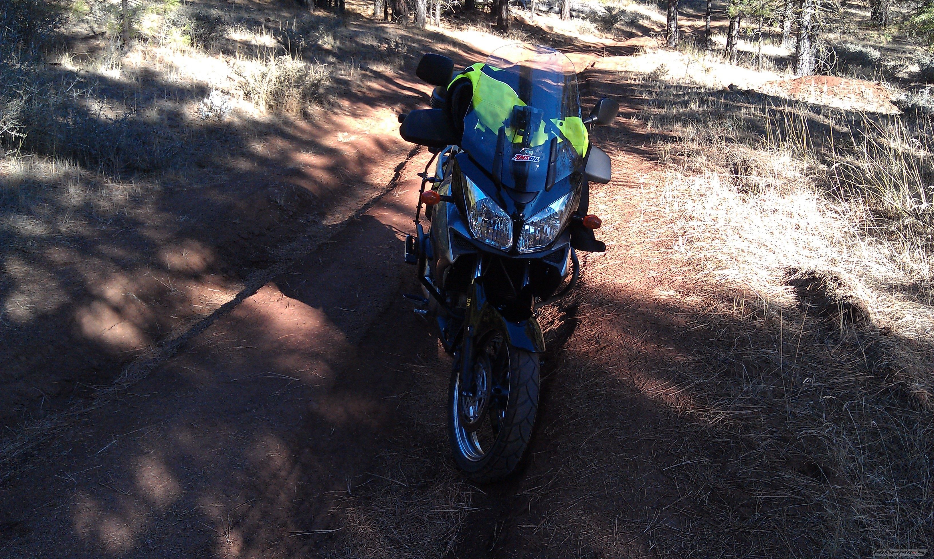 Photo 2469511
